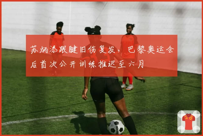 苏炳添跟腱旧伤复发，巴黎奥运会后首次公开训练推迟至六月