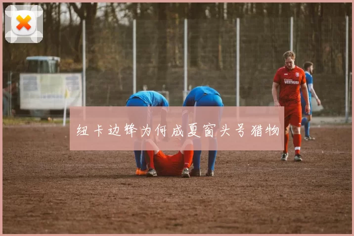 纽卡边锋为何成夏窗头号猎物