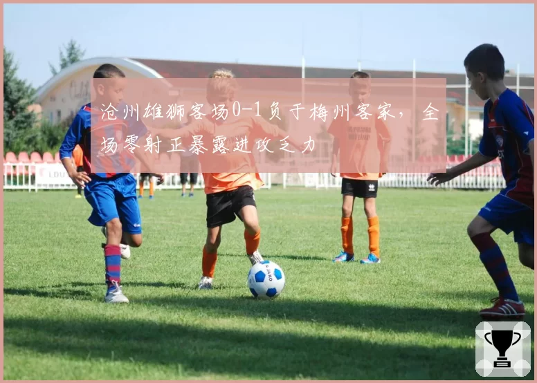 沧州雄狮客场0-1负于梅州客家，全场零射正暴露进攻乏力